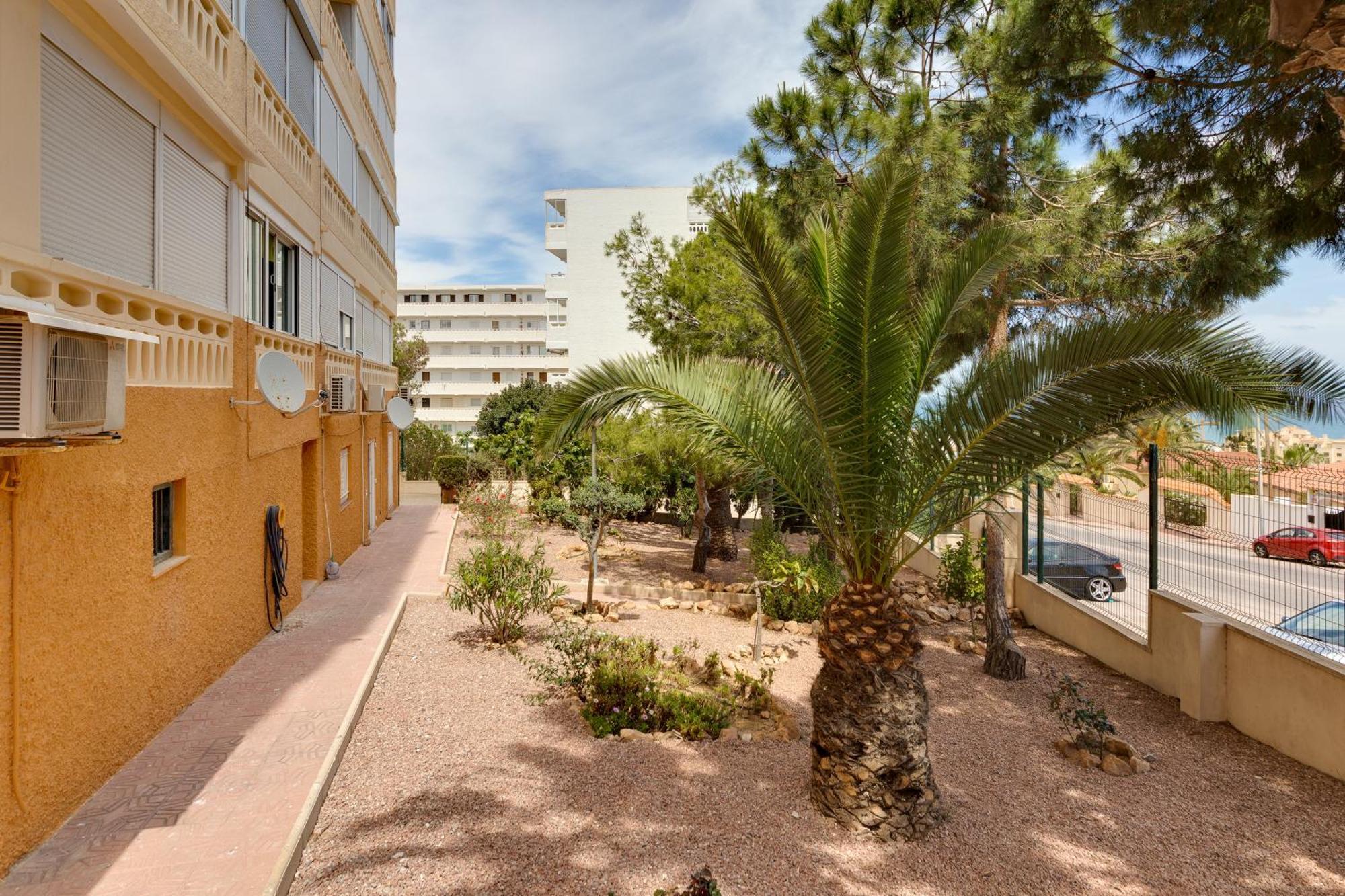 Estudio La Mata Τορεβιέχα Εξωτερικό φωτογραφία